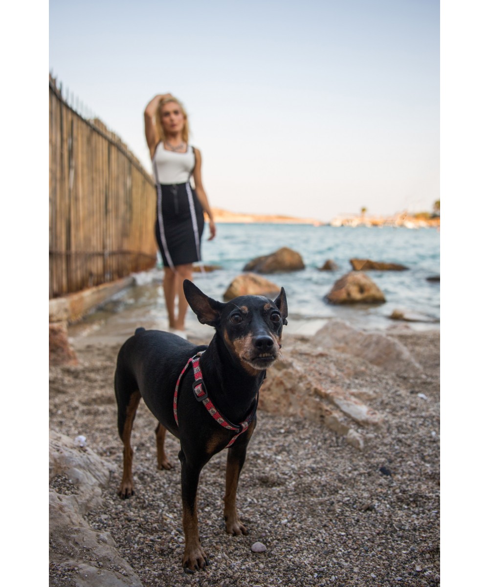 #15/24 HOLLAND 2024 SET