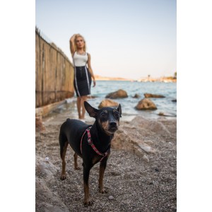 #15/24 HOLLAND 2024 SET